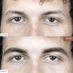 Hybrid Cream Brow Stain